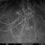 Mar 13 2026 19:13:47, #01