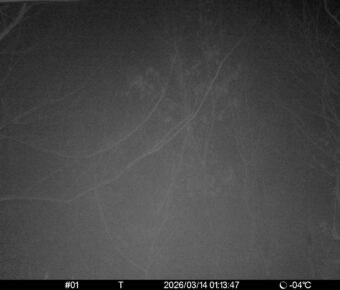 Mar 14 2026  1:13:46, #01