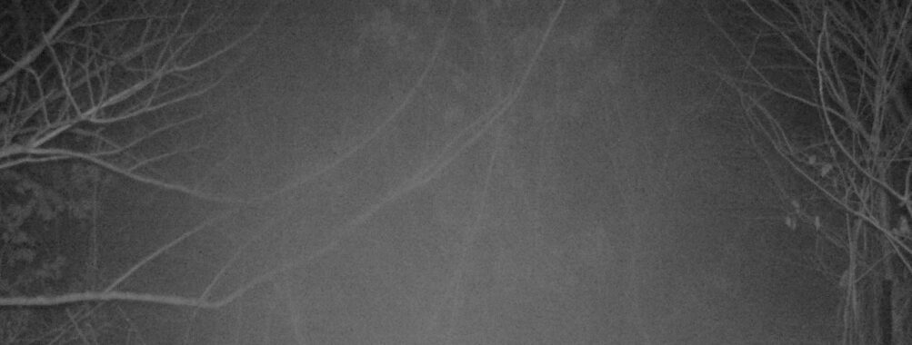 Mar 14 2026  4:13:47, #01