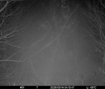 Mar 14 2026  4:13:47, #01