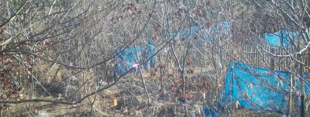 Mar 14 2026  7:13:47, #01