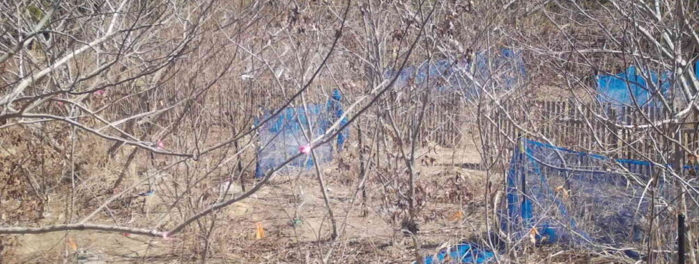 Mar 14 2026 10:13:48, #01