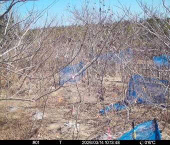 Mar 14 2026 10:13:48, #01