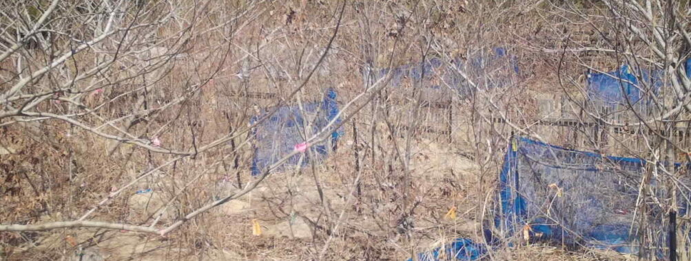 Mar 14 2026 13:13:47, #01