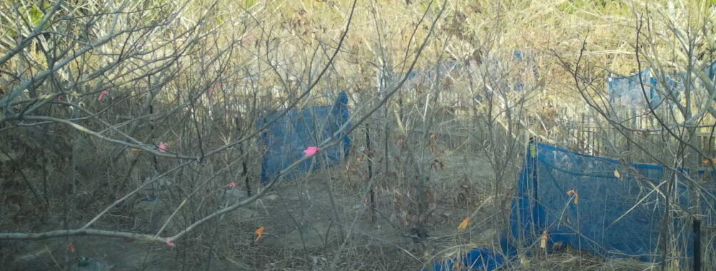 Mar 14 2026 16:13:47, #01