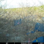 Mar 14 2026 16:13:47, #01