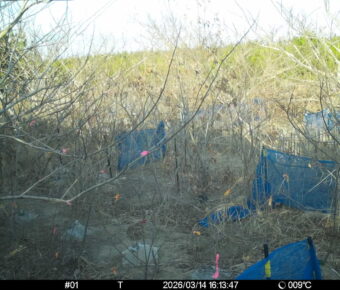 Mar 14 2026 16:13:47, #01