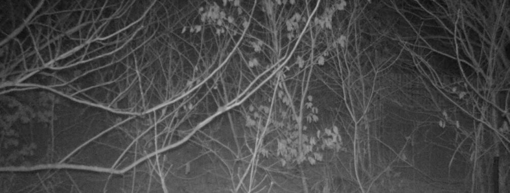 Mar 14 2026 19:13:46, #01