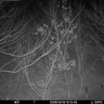 Mar 14 2026 19:13:46, #01