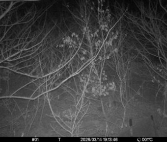 Mar 14 2026 19:13:46, #01