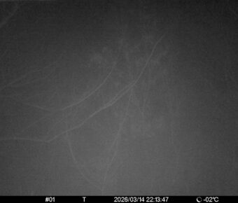 Mar 14 2026 22:13:47, #01