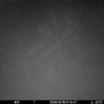 Mar 15 2026 1:13:47, #01