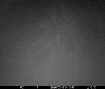 Mar 15 2026  4:13:47, #01