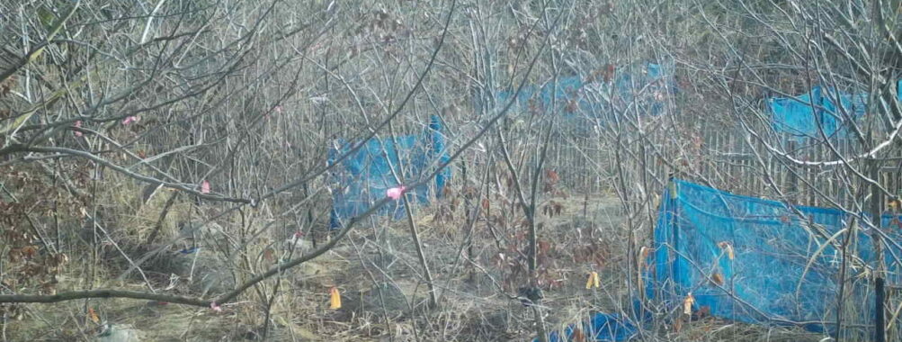 Mar 15 2026  7:13:48, #01