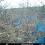 Mar 15 2026 7:13:48, #01