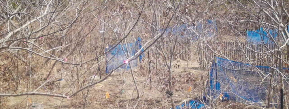 Mar 15 2026 10:13:48, #01