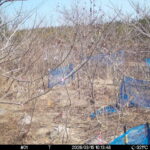 Mar 15 2026 10:13:48, #01