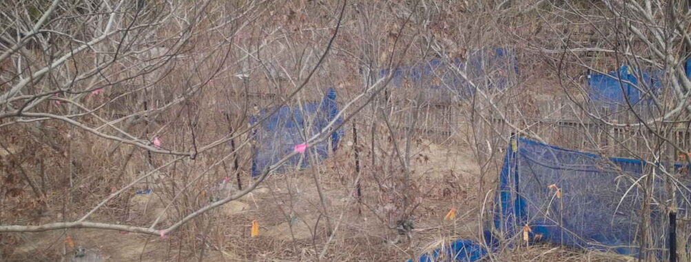 Mar 15 2026 13:13:46, #01