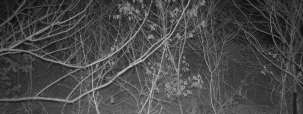 Mar 15 2026 19:13:47, #01