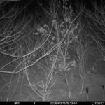 Mar 15 2026 19:13:47, #01