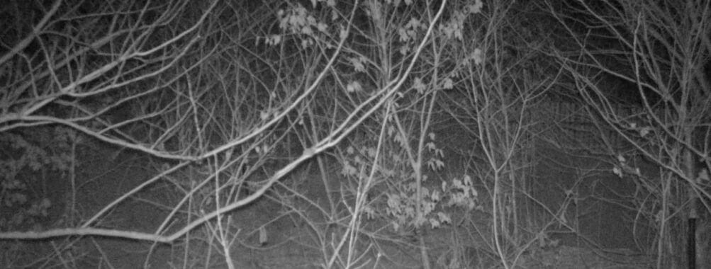 Mar 15 2026 22:13:46, #01