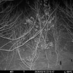 Mar 15 2026 22:13:46, #01