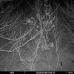 Mar 16 2026  1:13:47, #01