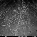 Mar 16 2026  4:13:47, #01