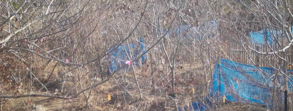 Mar 16 2026  7:13:48, #01