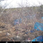 Mar 16 2026  7:13:48, #01