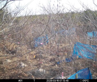 Mar 16 2026  7:13:48, #01