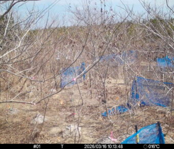 Mar 16 2026 10:13:48, #01