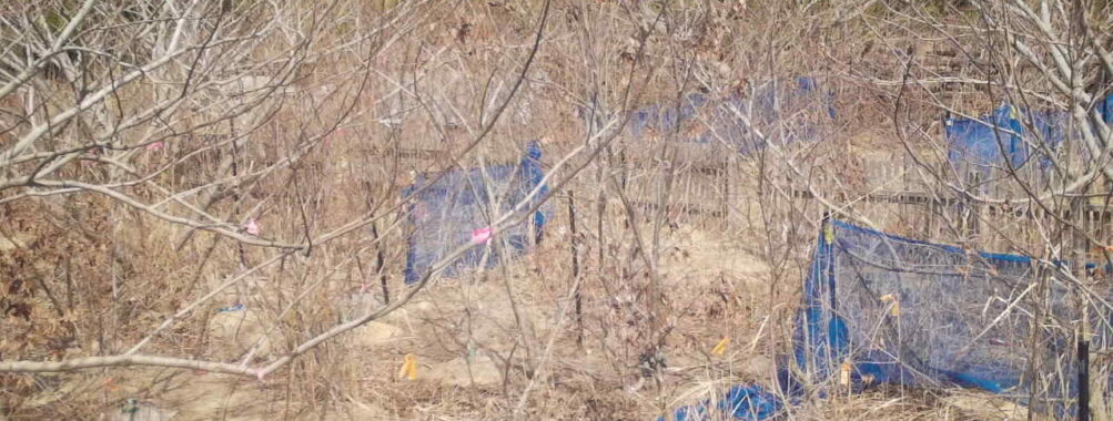 Mar 16 2026 13:13:47, #01