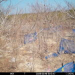 Mar 16 2026 13:13:47, #01