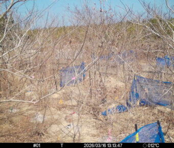 Mar 16 2026 13:13:47, #01