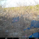 Mar 16 2026 16:13:48, #01