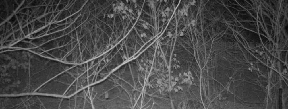 Mar 16 2026 19:13:47, #01