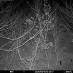 Mar 16 2026 19:13:47, #01