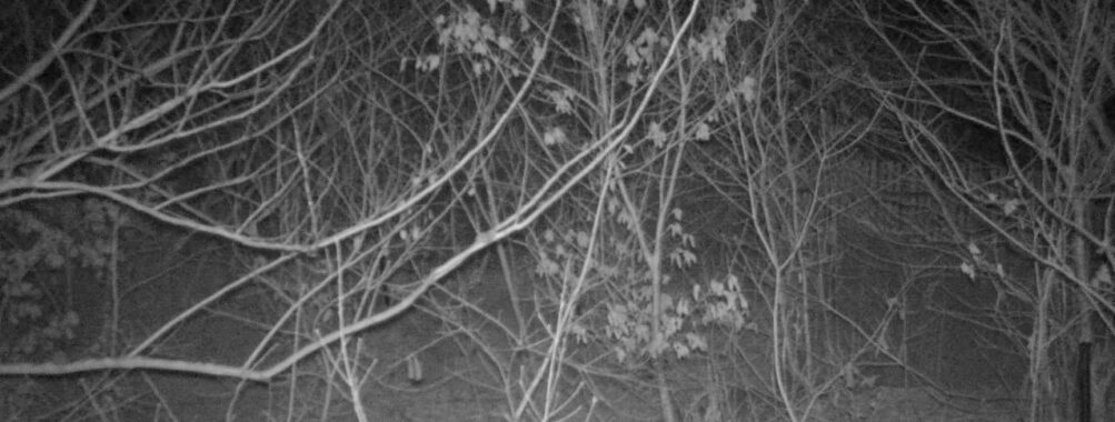 Mar 16 2026 22:13:47, #01