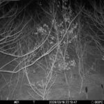 Mar 16 2026 22:13:47, #01