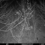 Mar 17 2026  1:13:46, #01