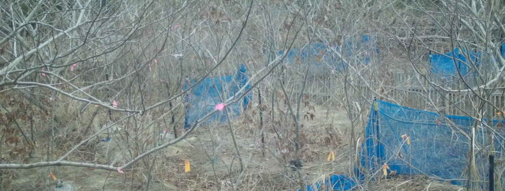 Mar 17 2026  7:13:48, #01