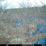 Mar 17 2026  7:13:48, #01