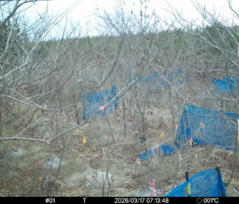 Mar 17 2026  7:13:48, #01