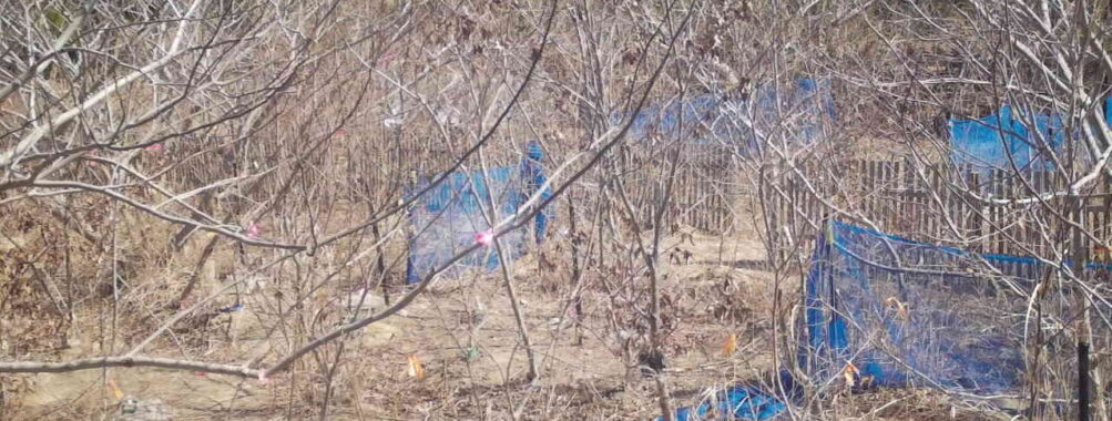 Mar 17 2026 10:13:48, #01