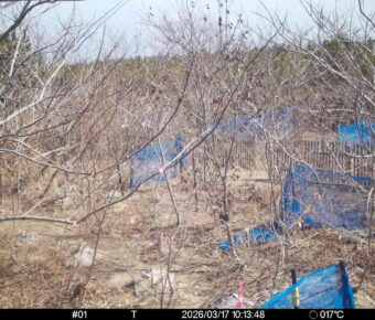 Mar 17 2026 10:13:48, #01