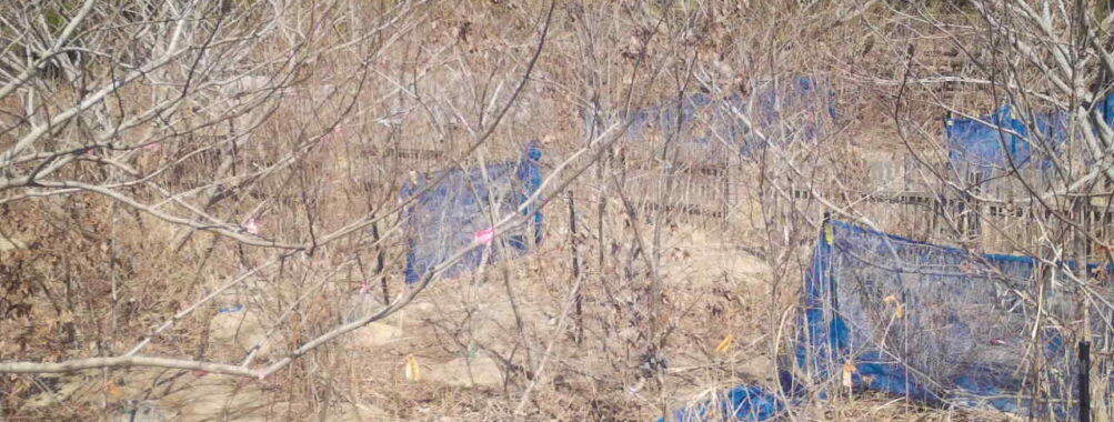 Mar 17 2026 13:13:47, #01