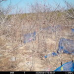 Mar 17 2026 13:13:47, #01