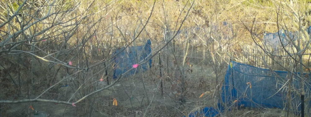 Mar 17 2026 16:13:48, #01