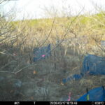 Mar 17 2026 16:13:48, #01